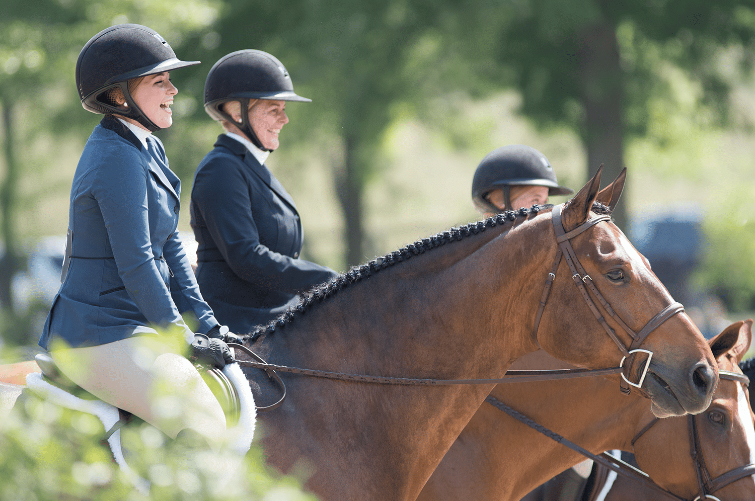 Upperville Colt Horse Show