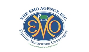 EMO Agency