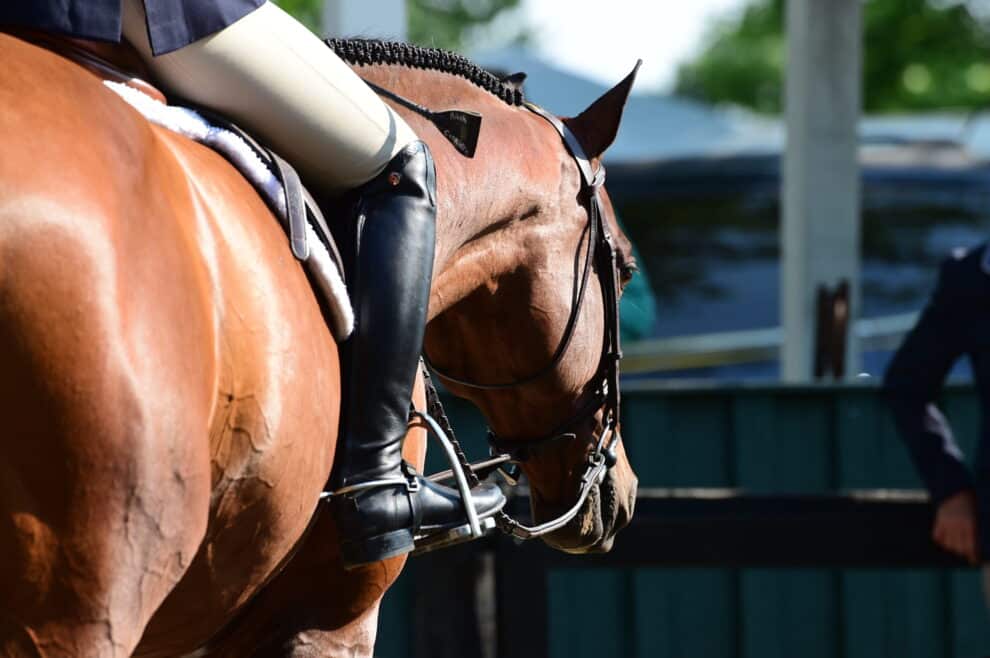 Upperville Colt & Horse Show Update from Joe Fargis