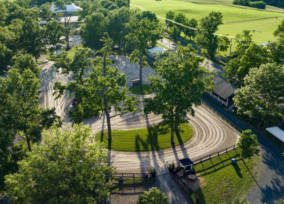 Celebrate Arbor Day Under the Oaks!