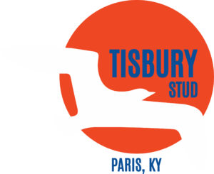 Tisbury Stud