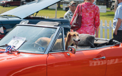 The 11th Annual Horses & Horsepower Invitational Car Show Returns to the Upperville Horse Show on June 8