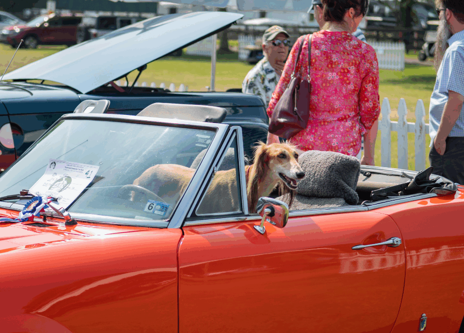 The 11th Annual Horses & Horsepower Invitational Car Show Returns to the Upperville Horse Show on June 8