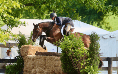 Amanda Steege and Lafitte de Muze Return as Champions of the $25,000 USHJA International Hunter Derby Upperville Colt & Horse Show presented by MARS Equestrian™