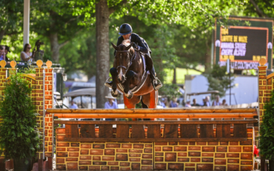 Amanda Steege and Lafitte de Muze Threepeat in the $25,000 USHJA International Hunter Derby at the 173rd Upperville Colt & Horse Show